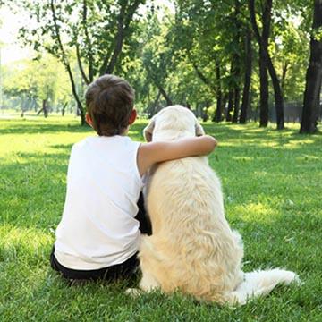 A photo taken from behind showing a boy sitting down with his arm around a dog