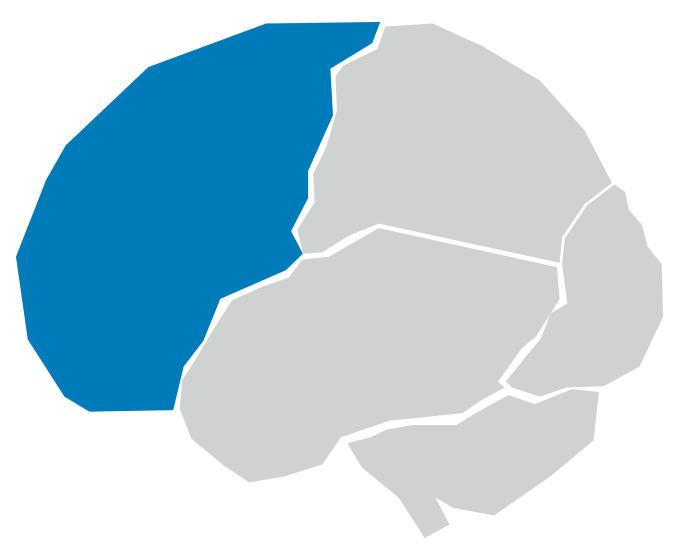 Brain illustration highlighting the front part of the brain in blue