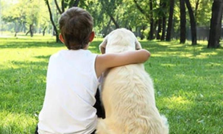 A photo taken from behind showing a boy sitting down with his arm around a dog