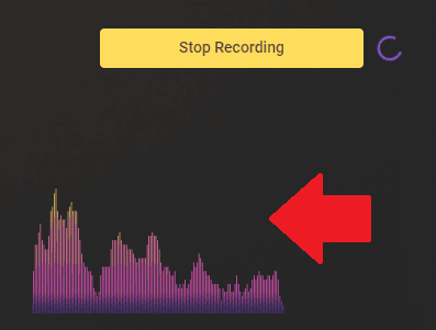 A screenshot demonstrating how to test your microphone.